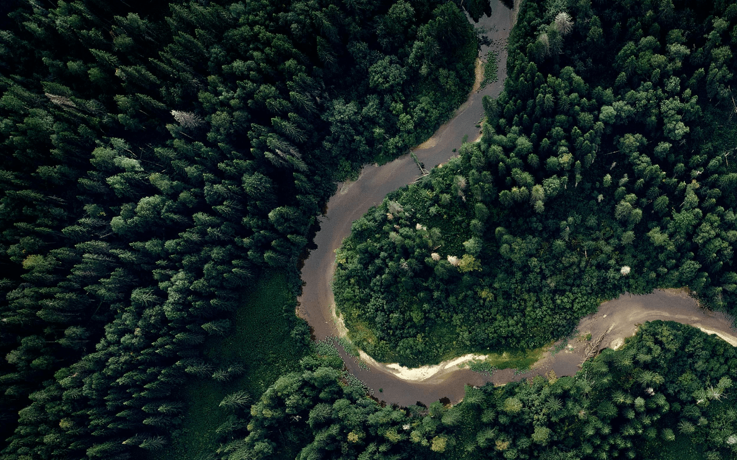 birds eye view of a bendy road with lots of trees