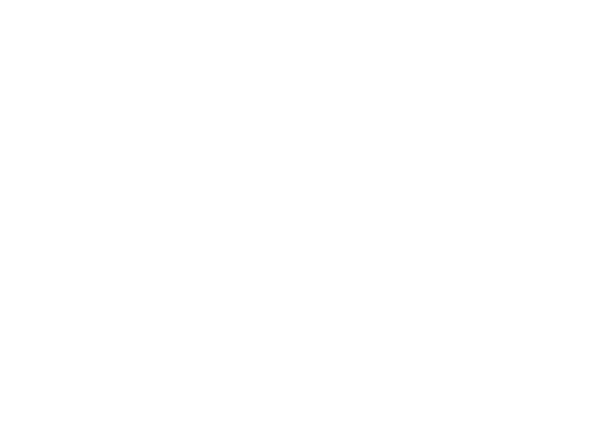 dpd logo